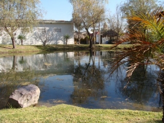 Lago de pesca deportivas